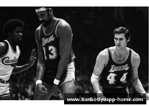 黑熊NBA：探索野生动物中心的篮球奇迹
