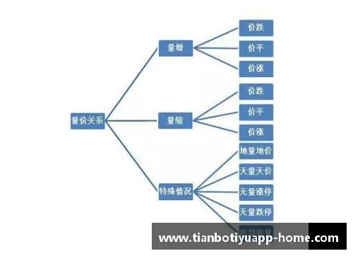 球员技术分析与进步路径探索