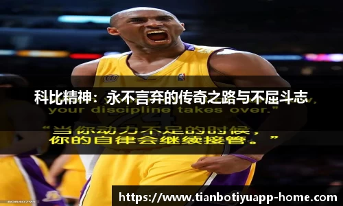 天博app